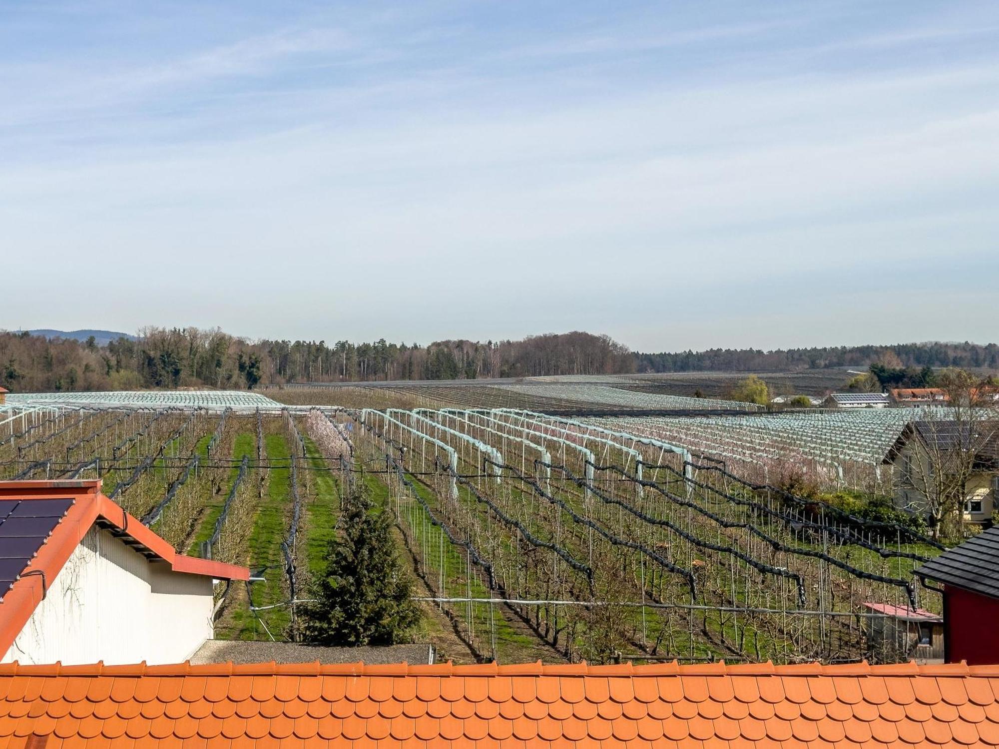 Obst- Ferienhof Ragg Immenstaad am Bodensee Esterno foto